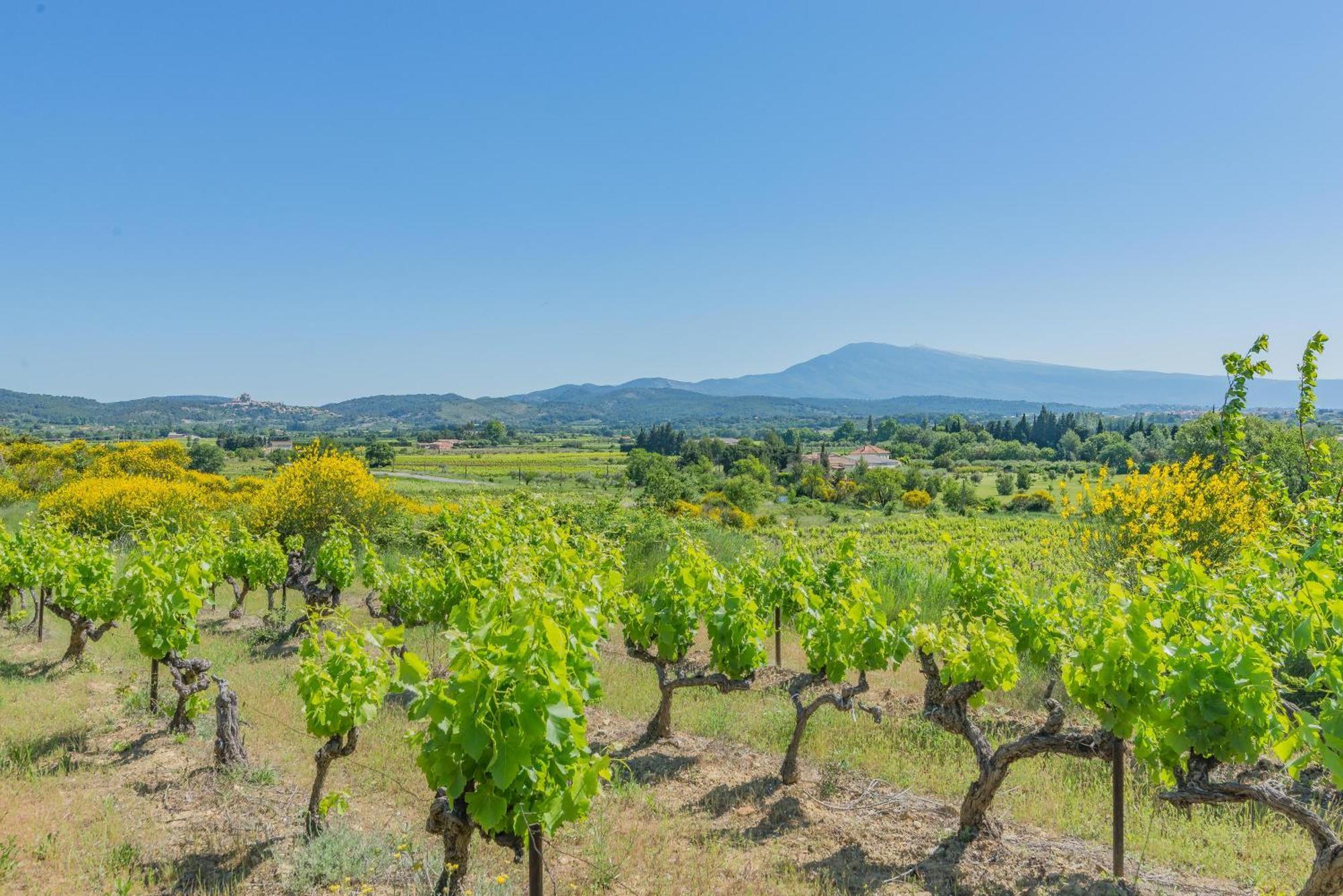 Domaine Purviti Villa Beaumes-de-Venise Bagian luar foto